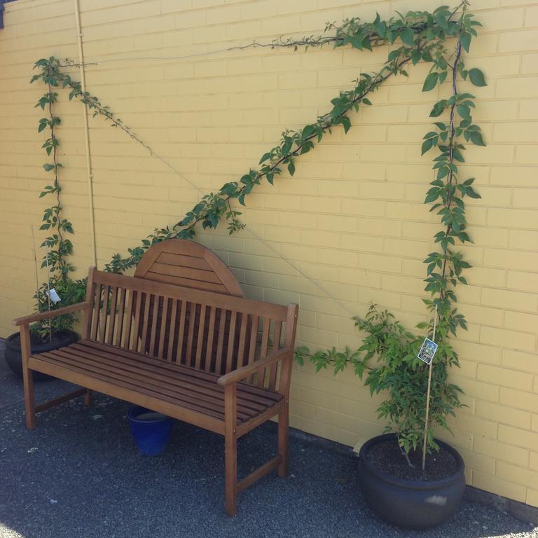 Mount View Motel Hawera Zewnętrze zdjęcie
